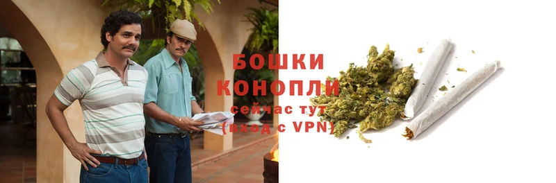 ОМГ ОМГ   Никольск  Бошки Шишки SATIVA & INDICA 